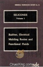 SILICONES VOLUME 1 Electrical Molding Resins and Functional Fluids 1977 PDF电子版封面 0815506651
