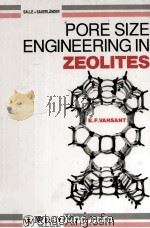 PORE SIZE ENGINEERING IN ZEOLITES 1990 PDF电子版封面 0471927791