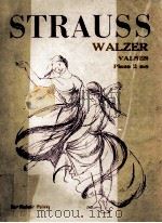 STRAUSS WALZER VALSES PIANO 2 MS PDF电子版封面