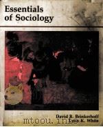 ESSENTIALS OF SOCIOLOGY（1989 PDF版）