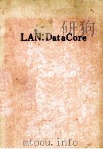LAN:DataCore PDF电子版封面