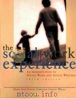 THE SOCIAL WORK EXPERIENCE AN INTRODUCTION TO SOCIAL WORK AND SOCIAL WELFARE THIRD EDITON 1996 PDF电子版封面 0072282266