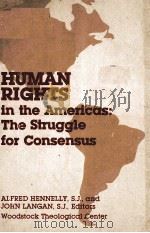 HUMAN RIGHTS IN THE AMERICAS:THE STRUGGLE FOR CONSENSUS 1982 PDF电子版封面