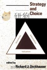 STRATEGY AND CHOICE 1991 PDF电子版封面 0262240335