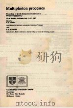 MULTIPHOTO PROCESSES 1988 PDF电子版封面