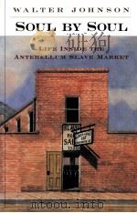 SOUL BY SOUL LIFE INSIDE THE ANTEBELLUM SLAVE MARKET（1999 PDF版）
