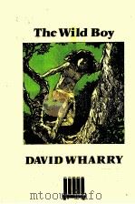 THE WILD BOY PDF电子版封面 0340462221 EDWARD ARNOLD