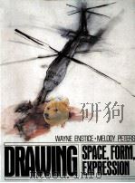 DRAWING SPACE FIRM EXPRESSION 1990 PDF电子版封面 0132192543