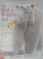 THE BEST OF WILDLIFE ART（ PDF版）
