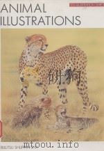 ANIMAL ILLUSTRATIONS PDF电子版封面 4568501490