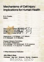 MECHANISMS OF CEKK INJURY:IMPLICATIONS FOR HUMAN HEALTH 1987 PDF电子版封面 0471916293