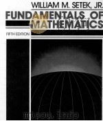 FUNDAMENTS OF MATHEMATICS 1989 PDF电子版封面 9780024092014