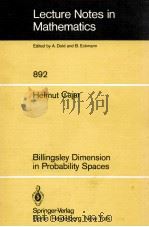 LECTURE NOTES IN MATHEMATICS 892: BILLINGSLEY DIMENSION IN PROBABILITY SPACES 1981 PDF电子版封面 3540111646;0387111646
