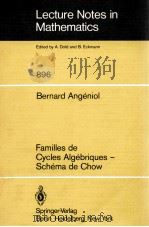 LECTURE NOTES IN MATHEMATICS 896: FAMILLES DE CYCLES ALGEBRIQUES - SCHEMA DE CHOW（1981 PDF版）