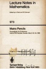 LECTURE NOTES IN MATHEMATICS 973: MATRIX PENCILS 1983 PDF电子版封面 3540119833;0387119833