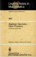 LECTURE NOTES IN MATHEMATICS 997: ALGEBRAIC GEOMETRY - OPEN PROBLEMS 1983 PDF电子版封面 3540123202;0387123202