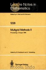 LECTURE NOTES IN MATHEMATICS 1228: MULTIGRID METHODS II 1986 PDF电子版封面 3540171983;0387171983