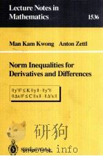 NORM INEQUALITIES FOR DERIVATIVES AND DIFFERENCES 1992 PDF电子版封面 3540563873;0387563873