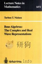 BOSE ALGEBRAS: THE COMPLEX AND REAL WAVE REPRESENTATIONS   1991  PDF电子版封面  3540540415;0387540415   