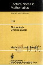LECTURE NOTES IN MATHEMATICS 1113: MATRIX METHODS IN ANALYSIS（1985 PDF版）