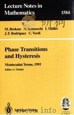 PHASE TRANSITIONS AND HYSTERESIS 1994 PDF电子版封面 9783540583868