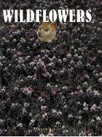 WILD FLOWERS  A PORTRAIT OF THE NATURAL WORLD（1997 PDF版）