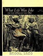 WHAT LIFE WAS LIKE PDF电子版封面