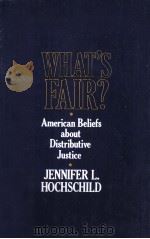 WHAT‘S FAIR? 1981 PDF电子版封面 JENNIFER L.HOCHSCHILD