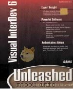 VISUAL INTERDEV TM 6（1999 PDF版）