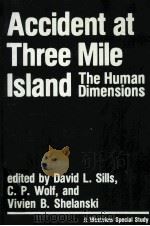 ACCIDENT AT THREE MILE ISLAND:THE HUMAN DIMENSIONS 1982 PDF电子版封面 086531165X