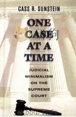 ONE CASE AT A TIME 1999 PDF电子版封面 0674637909
