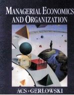 MANAGERIAL ECONOMICS AND ORGANIZATION 1996 PDF电子版封面 0023002921
