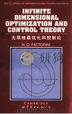 INFINITE DIMENSIONAL OPTIMIZATION AND CONTROL THEORY(无限维最优化和控制论) 1999 PDF电子版封面 0521451256