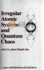 IRREGULAR ATOMIC SYSTEMS AND QUATUM CHAOS 1992 PDF电子版封面 2881245005