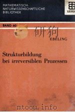STRUKTURBILDUNG BEI IRREVERSIBLEN PROZESSEN BAND 60 1976 PDF电子版封面