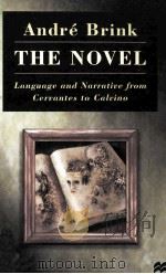 The Novel Language and Narrative from Cervantes to Calvino   1998  PDF电子版封面  0333684095   