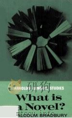 What is a Novel?（1969 PDF版）