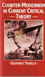 COUNTER-MODERNISM IN CURRENT CRITICAL THEORY 1983 PDF电子版封面 0333334361