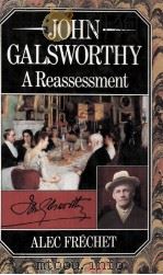 JOHN GALSWORTHY A Reassessment 1982 PDF电子版封面 0333315359