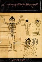 藏医医疗宝藏  藏文（1993 PDF版）