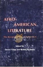 AFRO-AMERICAN LITERATURE The Reconstruction of Instruction 1979 PDF电子版封面 0873523512