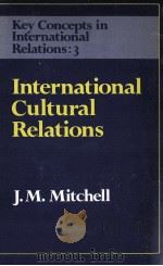 Internal Audit（1986 PDF版）