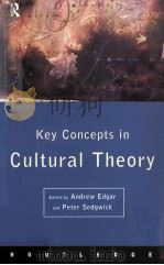 KEY CONCEPTS IN CULTURAL THEORY（1999 PDF版）