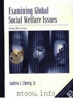 EXAMINING GLOBAL SOCIAL WELFARE LSSUSE PDF电子版封面 9780534610388