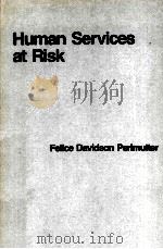 HUMAN SERVICES AT RISK FELICE DAVIDSON PERLMUTTER PDF电子版封面 0669078131
