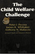 THE CHILD WELFARE CHALLENGE PDF电子版封面 9780202360829