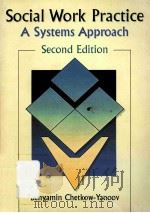 SOCIAL WORK PRACTICE A SYSTEMS APPROACH SECOND EDITION PDF电子版封面 9780789002464
