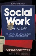 SOCIAL WORK DAY TO DAY THE EXPERIENCE OF GENERALIST SOCIAL WORK PRACTICE SECOND EDITION PDF电子版封面 9780801300417