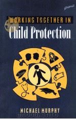 WORKING TOGETHER IN CHILD PROTECTION PDF电子版封面 9781857421989