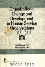 ORGANIZATIONAL CHANGE AND DEVELOPMENT IN HUMAN SERVICE ORGANIZATIONS PDF电子版封面 9781560243731